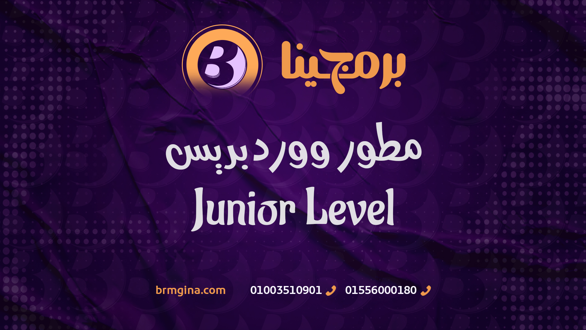 Wordpress Developer (Junior Level)